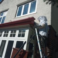 Liverpool Cathedral: Bee hive removal from a tree