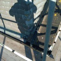 Liverpool Cathedral: Bee hive removal from a tree